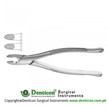 Kells American Pattern Tooth Extracting Forcep Fig. 99C (For Upper Incisors, Canines and Premolars) Stainless Steel, Standard